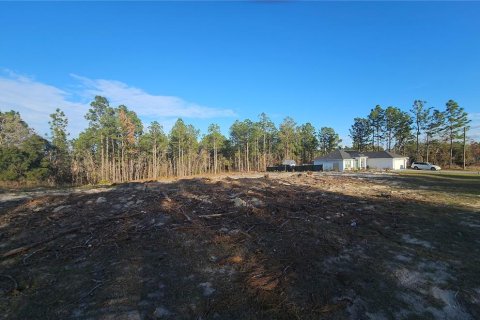 Terreno en venta en Ocala, Florida № 1532523 - foto 2