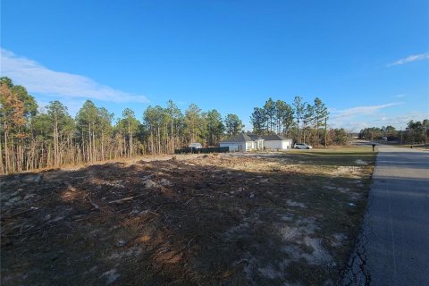 Terreno en venta en Ocala, Florida № 1532523 - foto 3