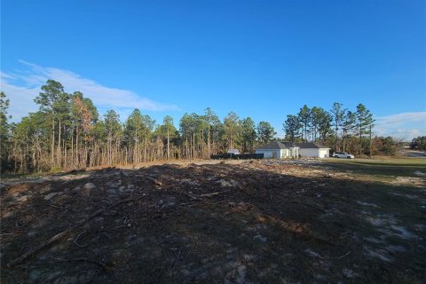 Terreno en venta en Ocala, Florida № 1532523 - foto 5