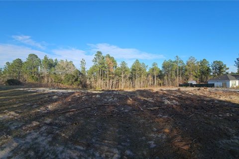Terreno en venta en Ocala, Florida № 1532523 - foto 1
