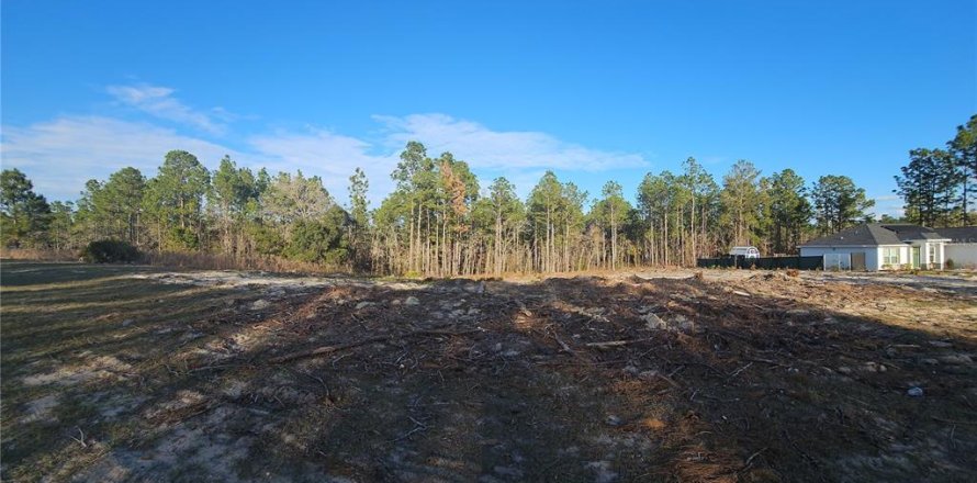 Terreno en Ocala, Florida № 1532523