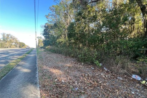 Land in Ocala, Florida № 2195502