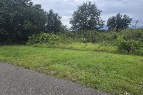 Купить земельный участок в Лихай-Эйкерс, Флорида № 2163248 - фото 6