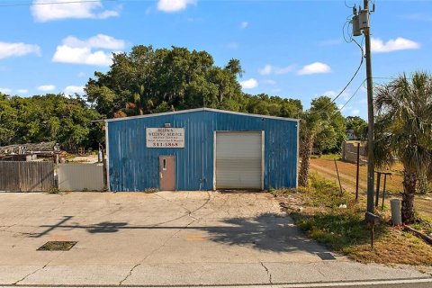 Immobilier commercial à Tavares, Floride № 2383745