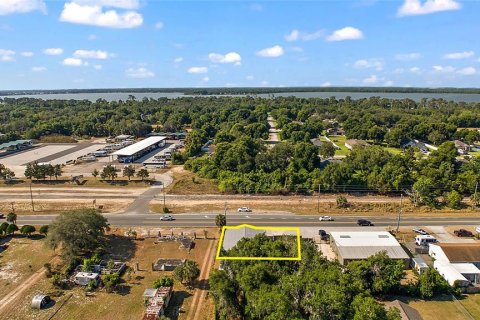 Immobilier commercial à louer à Tavares, Floride № 2383745 - photo 2