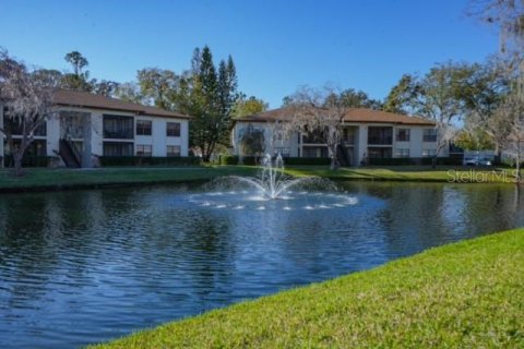 Condo in Palm Harbor, Florida, 2 bedrooms  № 1733862 - photo 29