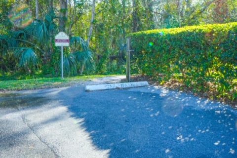 Condo in Palm Harbor, Florida, 2 bedrooms  № 1733862 - photo 30