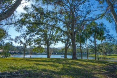 Condo in Palm Harbor, Florida, 2 bedrooms  № 1733862 - photo 4