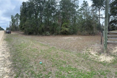 Terrain à vendre à Morriston, Floride № 2233602 - photo 6