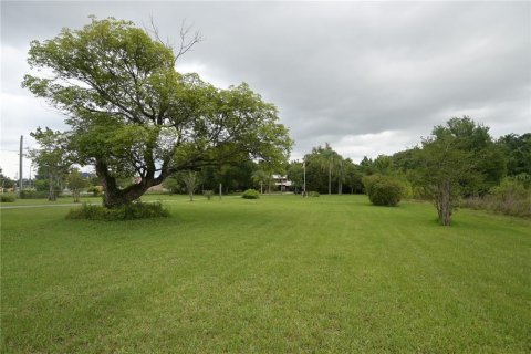 Immobilier commercial à vendre à Orlando, Floride: 166.85 m2 № 1901495 - photo 4