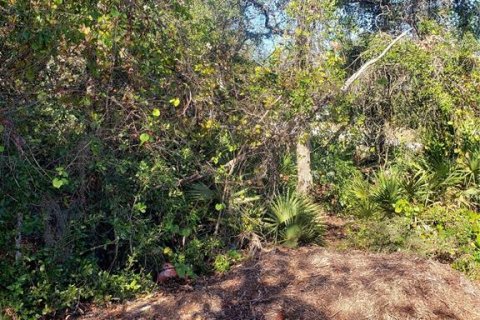 Terreno en venta en Orange City, Florida № 1553078 - foto 3