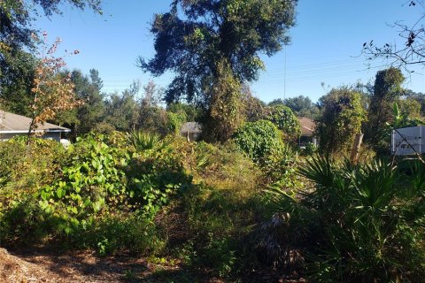 Terreno en venta en Orange City, Florida № 1553078 - foto 4