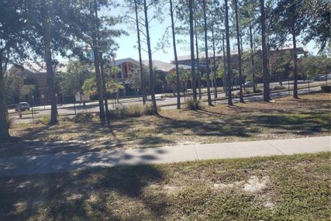 Terreno en venta en Orange City, Florida № 1553078 - foto 6