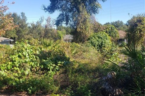 Terreno en venta en Orange City, Florida № 1553078 - foto 1