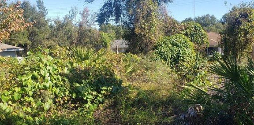 Terreno en Orange City, Florida № 1553078