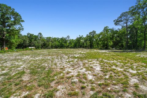 Land in Dunnellon, Florida № 1736784 - photo 9