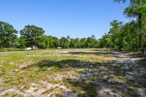 Land in Dunnellon, Florida № 1736784 - photo 8