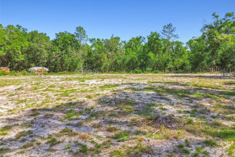 Land in Dunnellon, Florida № 1736784 - photo 13