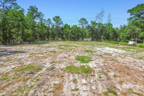 Land in Dunnellon, Florida № 1736784 - photo 21