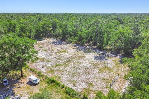 Land in Dunnellon, Florida № 1736784 - photo 5