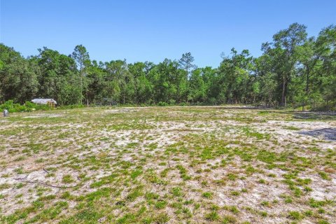 Land in Dunnellon, Florida № 1736784 - photo 17