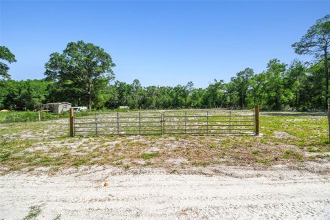 Land in Dunnellon, Florida № 1736784 - photo 10