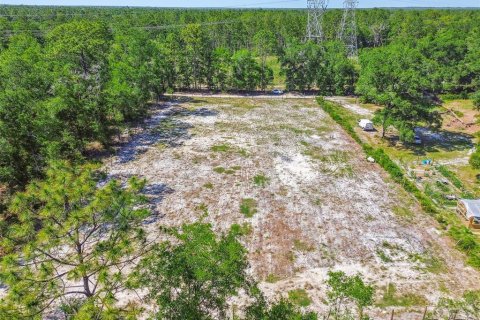 Land in Dunnellon, Florida № 1736784 - photo 6