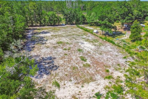 Land in Dunnellon, Florida № 1736784 - photo 23