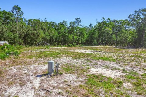 Land in Dunnellon, Florida № 1736784 - photo 15