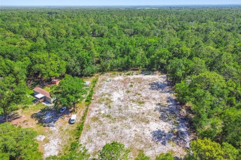 Land in Dunnellon, Florida № 1736784 - photo 20