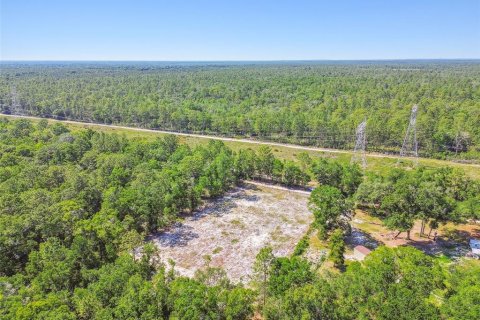 Land in Dunnellon, Florida № 1736784 - photo 27
