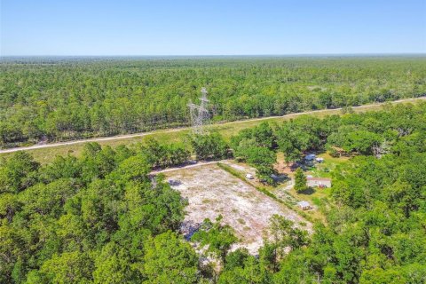 Land in Dunnellon, Florida № 1736784 - photo 29