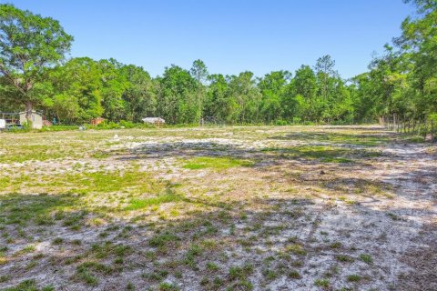 Land in Dunnellon, Florida № 1736784 - photo 18