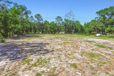 Land in Dunnellon, Florida № 1736784 - photo 22