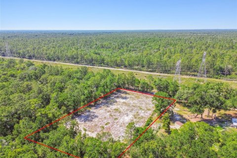 Land in Dunnellon, Florida № 1736784 - photo 3