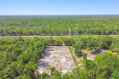 Land in Dunnellon, Florida № 1736784 - photo 28