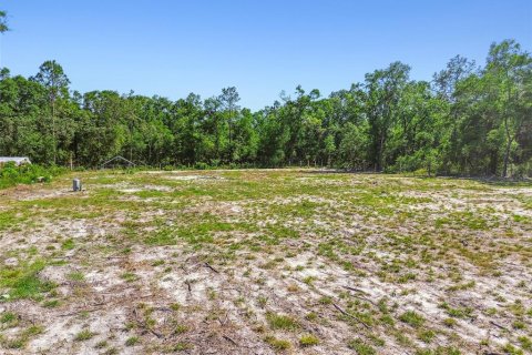 Land in Dunnellon, Florida № 1736784 - photo 16