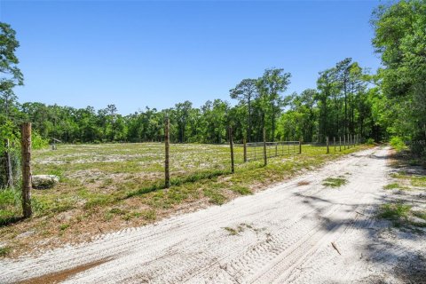 Land in Dunnellon, Florida № 1736784 - photo 12