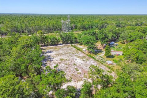 Land in Dunnellon, Florida № 1736784 - photo 7