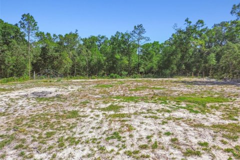 Land in Dunnellon, Florida № 1736784 - photo 14