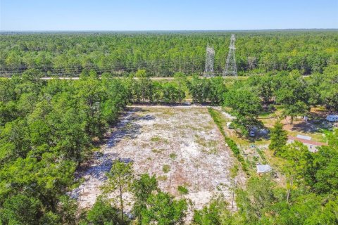 Land in Dunnellon, Florida № 1736784 - photo 24