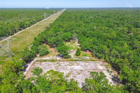 Land in Dunnellon, Florida № 1736784 - photo 30