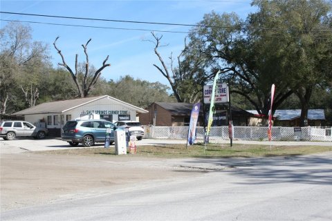 Commercial property in Salt Springs, Florida 450.02 sq.m. № 2364291 - photo 5