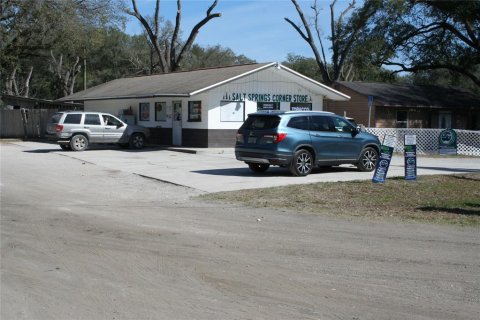 Commercial property in Salt Springs, Florida 450.02 sq.m. № 2364291 - photo 4