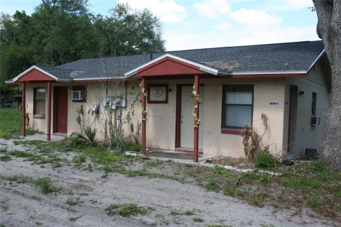 Commercial property in Salt Springs, Florida 450.02 sq.m. № 2364291 - photo 10