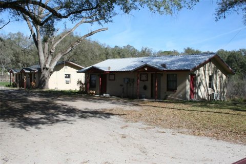 Commercial property in Salt Springs, Florida 450.02 sq.m. № 2364291 - photo 2