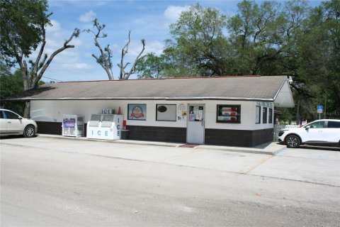 Commercial property in Salt Springs, Florida 450.02 sq.m. № 2364291 - photo 7