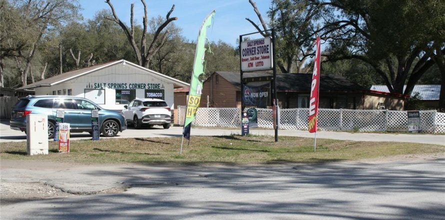 Commercial property in Salt Springs, Florida 450.02 sq.m. № 2364291