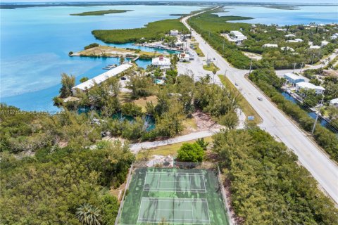 Propiedad comercial en venta en Sugarloaf Key, Florida № 2032655 - foto 8