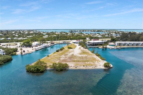 Propiedad comercial en venta en Sugarloaf Key, Florida № 2032655 - foto 16